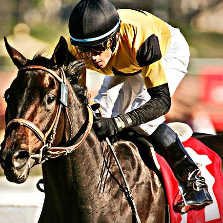 racebook racebook